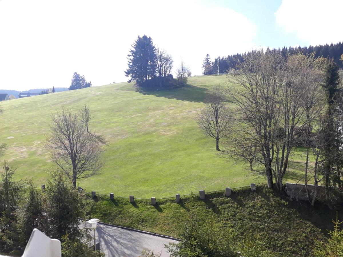 Ferienwohnung Schönwald Bagian luar foto